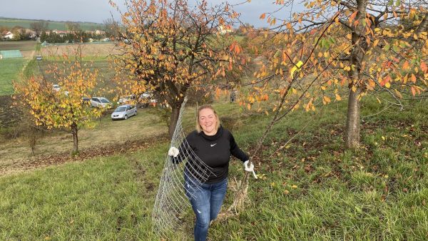 We plant trees